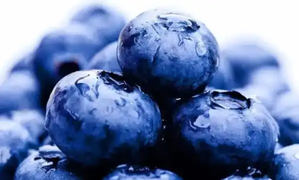 Pterostilbene Benefits: How Can It Improve Your Health?
